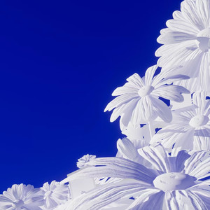 身材较好的美女做爱视频
